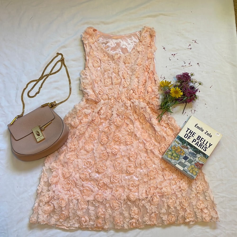 Vintage Rose Mini Dress